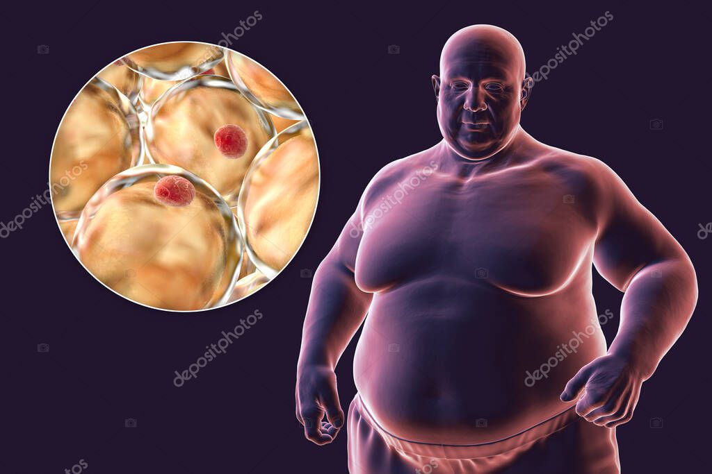 Illustrazione della massa cellulare corporea
