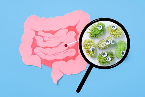 Illustrazione del microbiota intestinale e alimenti fermentati